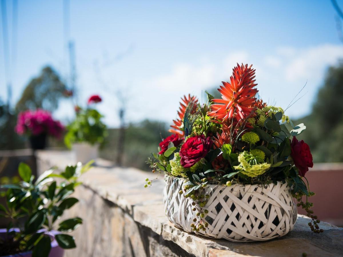 Sofias Cottage Razata Argostoli 외부 사진